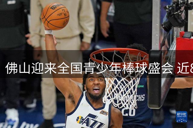 佛山迎来全国青少年棒球盛会 近800名小选手竞技角逐